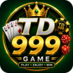 TD999 Game